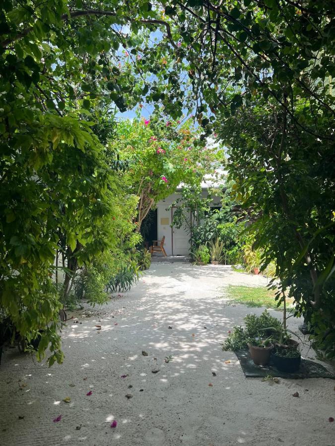Lagoon Villa Maldives Thoddoo Dış mekan fotoğraf