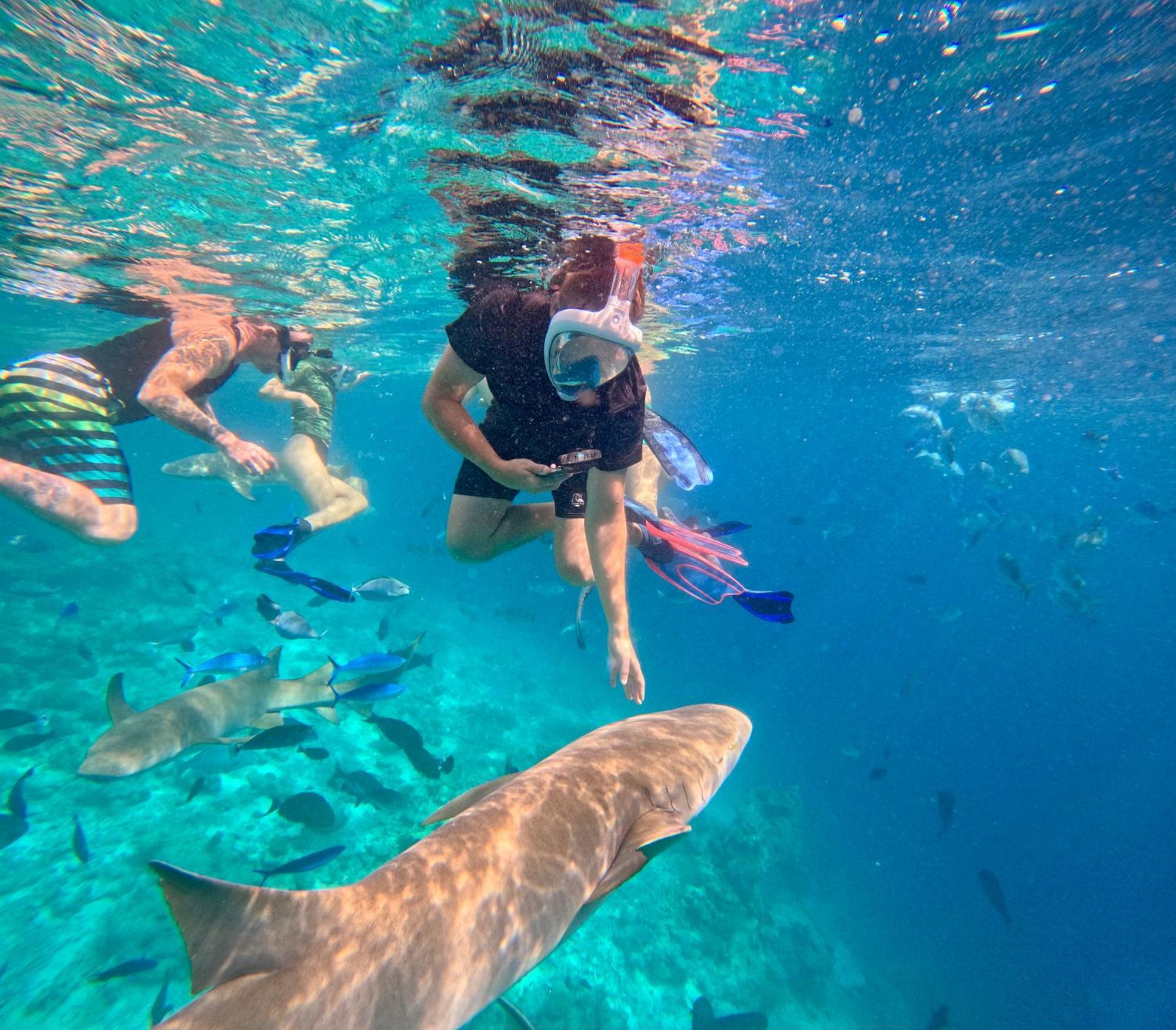 Lagoon Villa Maldives Thoddoo Dış mekan fotoğraf