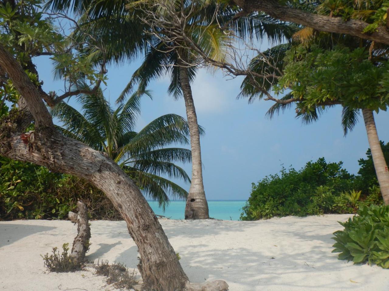 Lagoon Villa Maldives Thoddoo Dış mekan fotoğraf